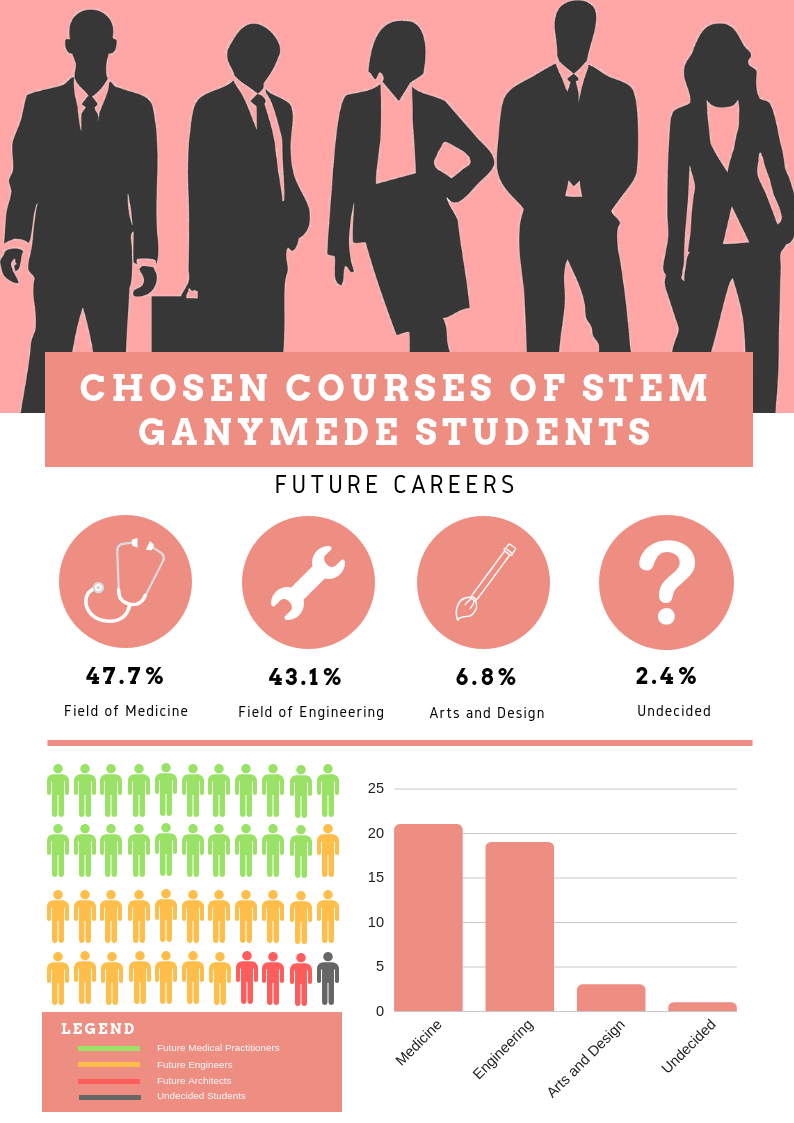 Pink Blogger Statistics Minimal General Press Kit